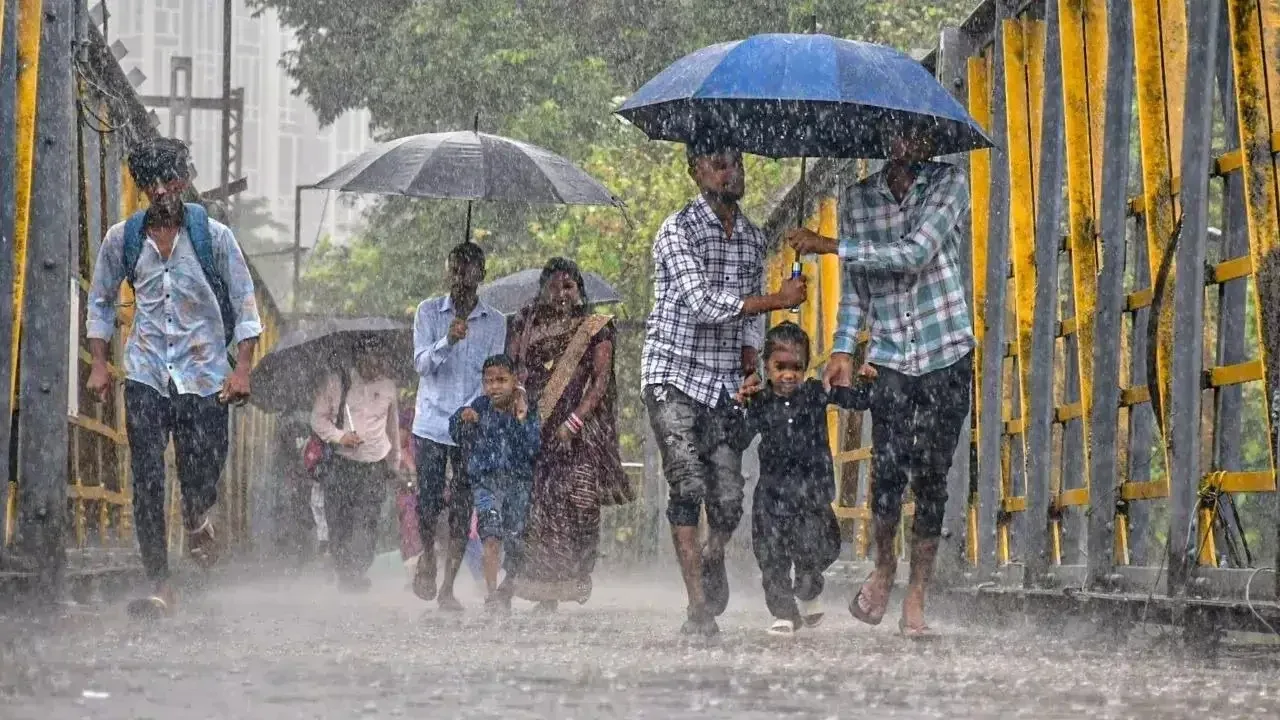 Maharashtra Rain:पूर्व विदर्भात विजांसह पाऊस, IMD कडून येलो अलर्ट, उर्वरित महाराष्ट्रात ढगाळ हवामान