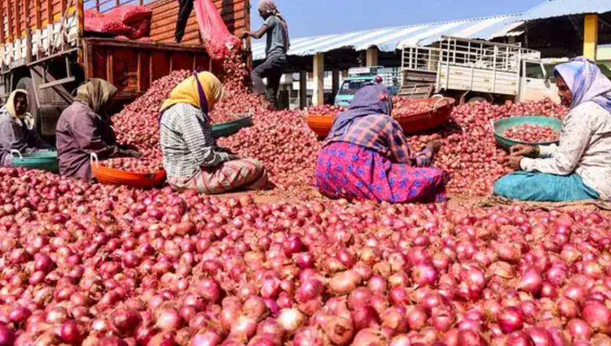कांदा शेतकऱ्यांचा प्रतीक्षा संपली! 9,988 शेतकऱ्यांना मिळणार 18 कोटींचा दिलासा!