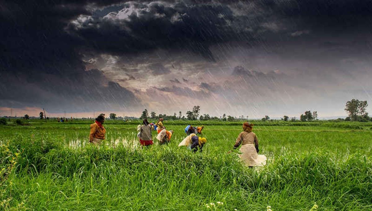 रक्षाबंधनाला पावसाचा रंग! मुंबई, कोकण, विदर्भात यलो अलर्ट, कसा असेल आजचा सण?