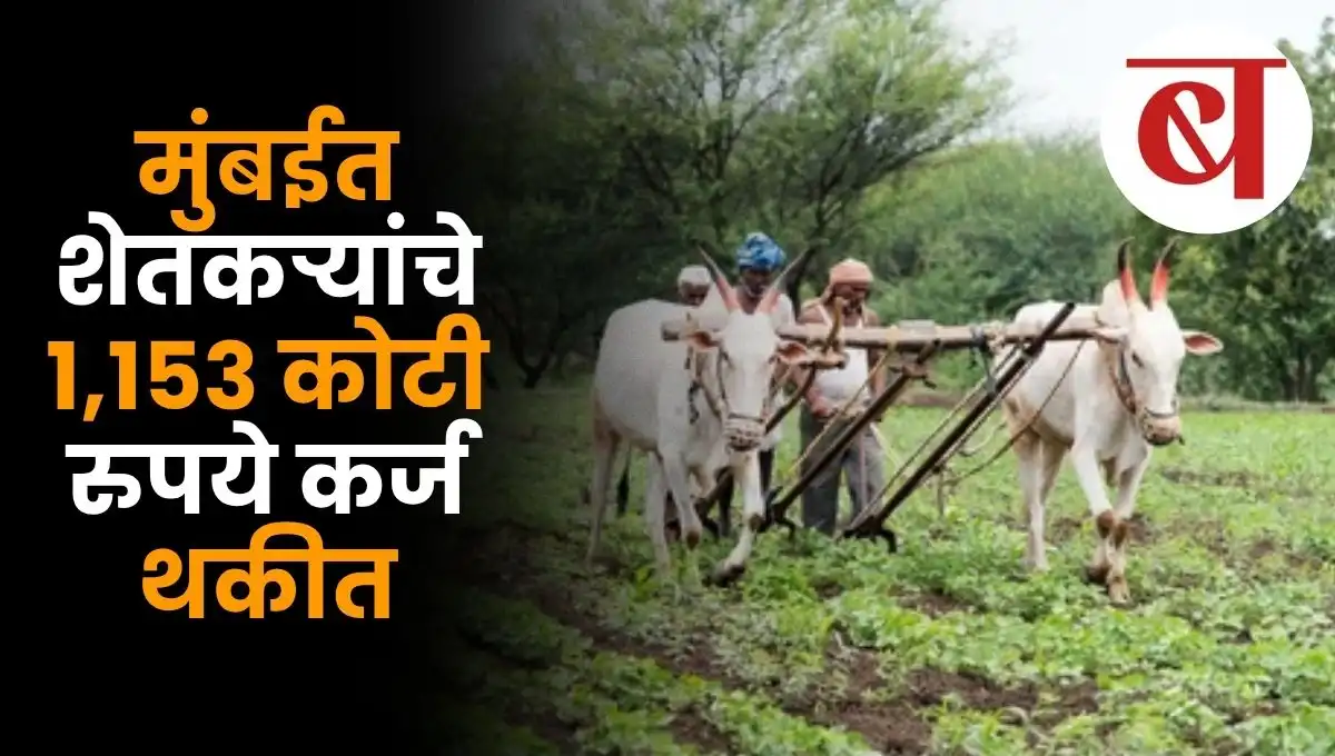 मुंबईत शेतकऱ्यांचे १,१५३ कोटी रुपये कर्ज थकीत; हे शेतकरी आहेत तरी कोण? आणि महाराष्ट्रातील शेतकऱ्यांचे खरे कर्ज किती?