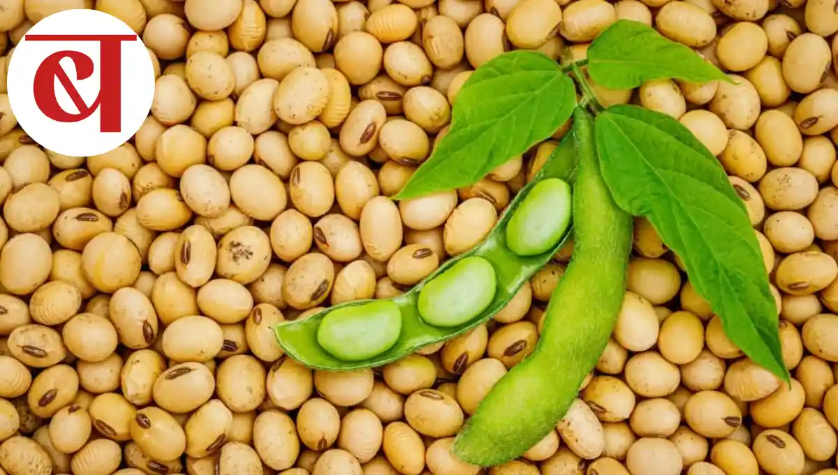 soyabean rate today khamgaon buldhana